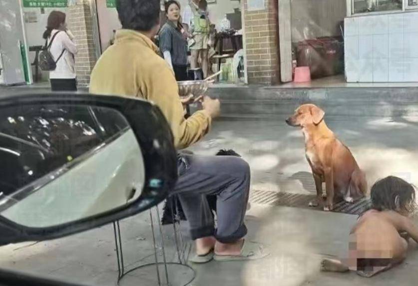 小孩更多内幕曝光父母均受过高等教育ag九游会登录四川雅安！“野人”(图8)