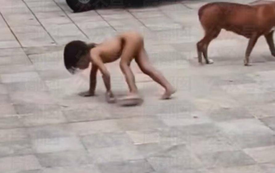 小孩更多内幕曝光父母均受过高等教育ag九游会登录四川雅安！“野人”(图10)